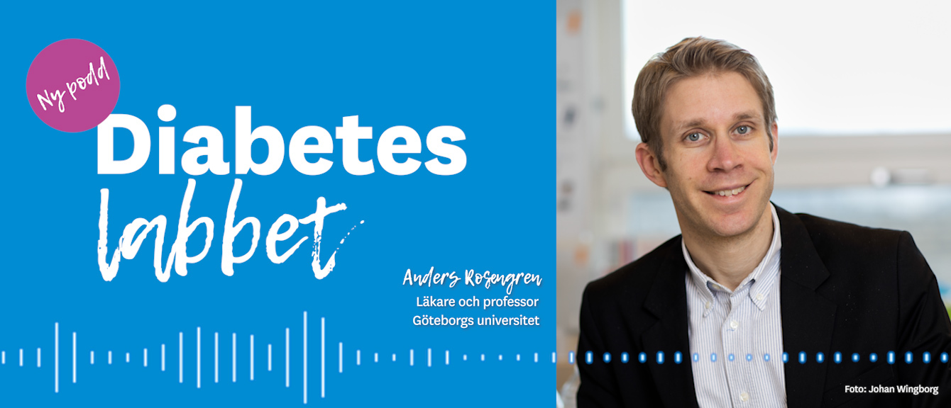 Anders Rosengren 1340 X572
