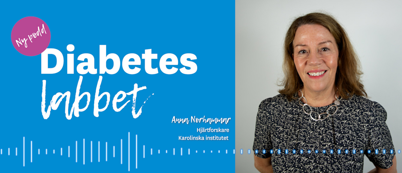 Anna Norhammar 1340X572