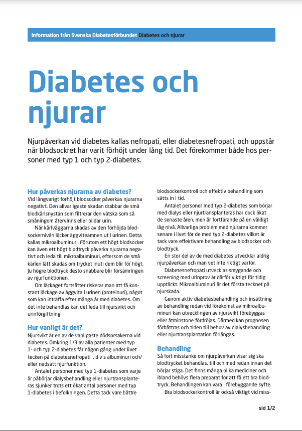 Diabetes och njurar