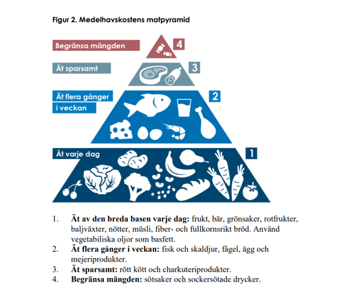 Medelhavskostens matpyramid, Socialstyrelsen